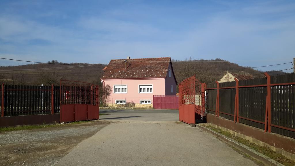 Apartman Anka et Studio Anka Ratkovica Bagian luar foto